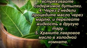 Польза масла лаврового листа - безгранична. Как сделать лавровое масло.