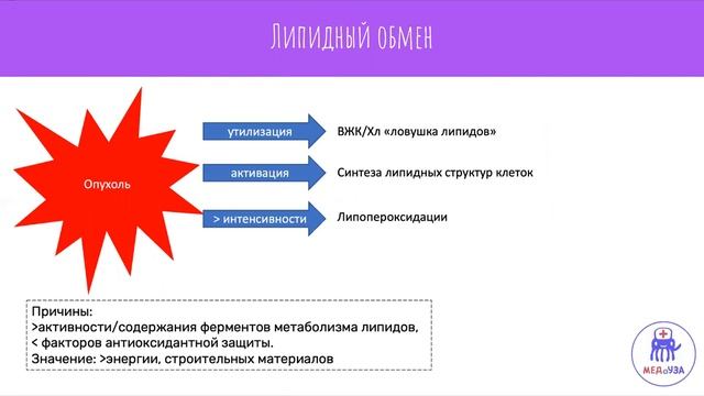Метаболический атипизм опухолей | Биохимия смотреть онлайн