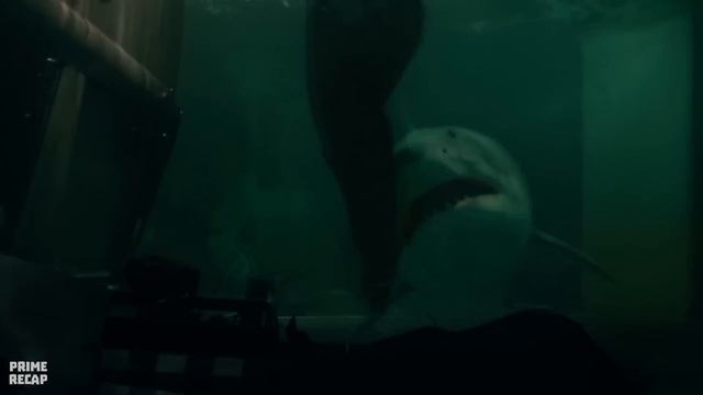 HUMANS are used as live BAITS to ESCAPE the SHARKS' den - RECAP смотреть онлайн