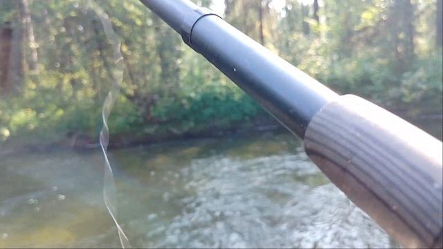 Якутия хариус рвёт снасти /рыбалка на хариуса август 2023 смотреть онлайн