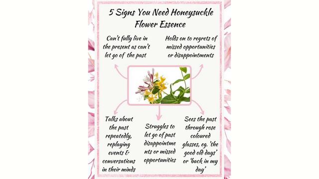 HONEYSUCKLE | 16 | Bach Flower Remedies | Maithili Varadarajan | Reiki Grand Master
