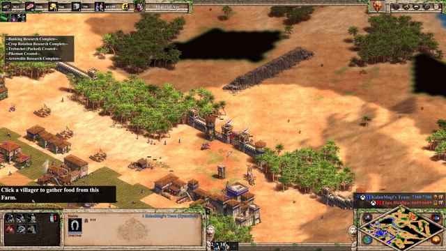 COOP RTS - Age of Empires II Definitive Edition смотреть онлайн