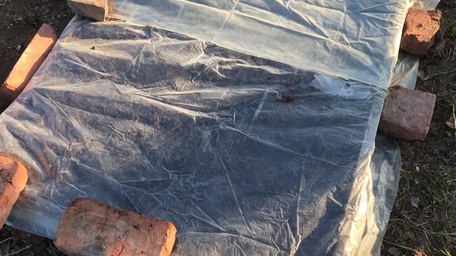 КАК РАЗБУДИТЬ ЛУК? СЕВОК НЕ ПОКУПАЮ! смотреть онлайн