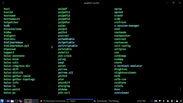 update burp suite kali linux смотреть онлайн