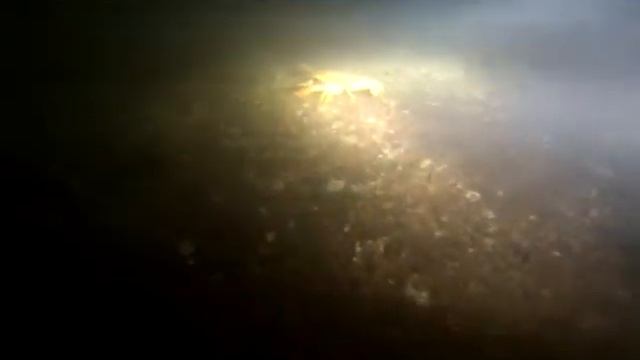 Dive&Drive нырялка в день Защитника Отечества 2017 смотреть онлайн