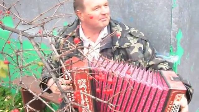 Виртуоз Сторожев Н.Н. смотреть онлайн
