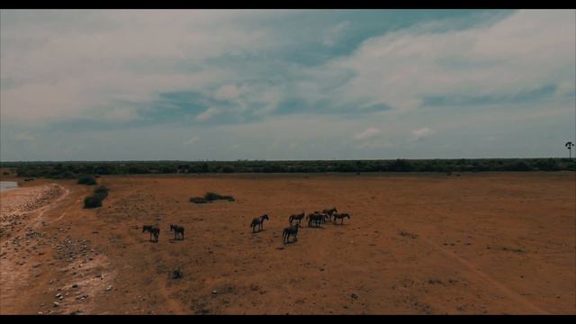 FLY 361 DRONES - Delft Island showreel смотреть онлайн