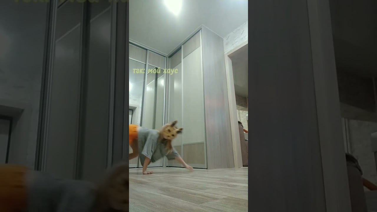 #quadrobics #квадробика #спорт #териан #сервал #животное #глобальныерекомендации #тренд #кошка #2024 смотреть онлайн