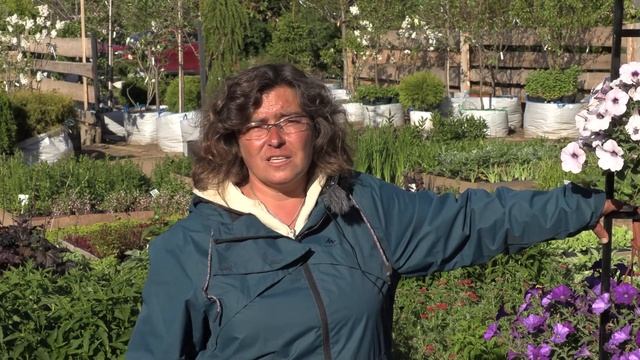 "Репейник" без розовых очков. Часть 2. Доставка растений. смотреть онлайн