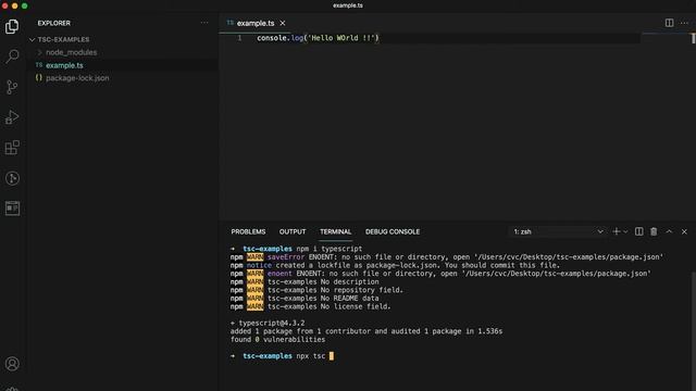 TypeScript Tutorial 2: How to install TypeScript and run it on your system смотреть онлайн