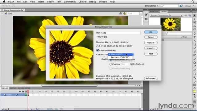 0504 Adjusting bitmap compression in the Bitmap Properties window смотреть онлайн