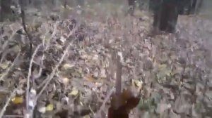 тест хатсан 44 10 70 метров