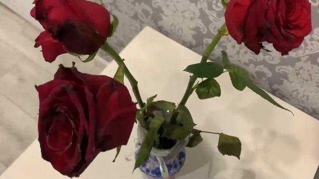 Продолжаю эксперимент……розам уже 2 недели. смотреть онлайн