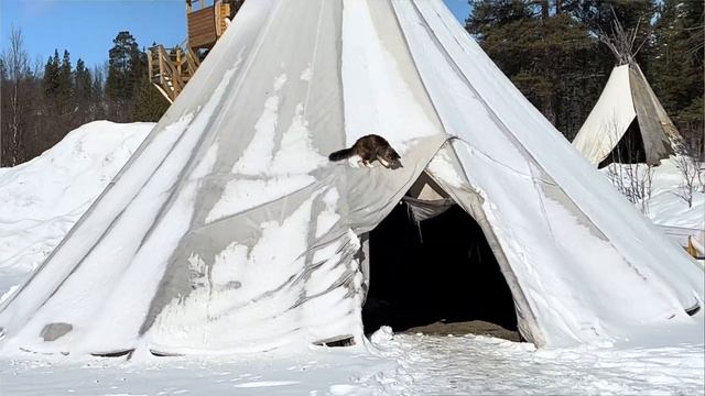 ленивый влог с Кольского часть 1. Мурманск смотреть онлайн