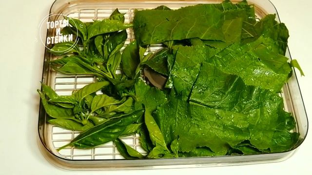 Листья хрена на зиму. Острая сушеная приправа из листьев хрена и овощей. смотреть онлайн