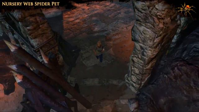 Path of Exile - Nursery Web Spider Pet смотреть онлайн
