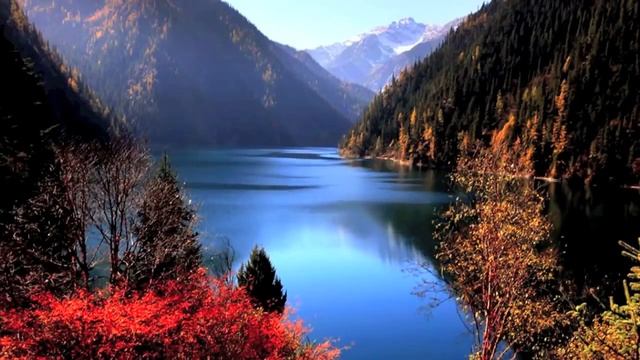 Самые красивые картинки осени Очарование осени в самых красивых картинках смотреть онлайн