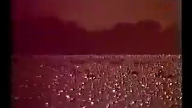 MustafaXohay4(Mustafa Shokay)-4 смотреть онлайн