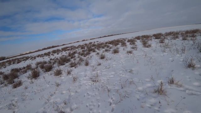 Охота на зайца - Заяц профи. смотреть онлайн