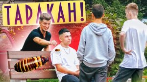 ПРАНК С ОГРОМНЫМИ ТАРАКАНАМИ / РЕАКЦИЯ НА ГИГАНТСКИХ ТАРАКАНОВ / БОРЯМБА