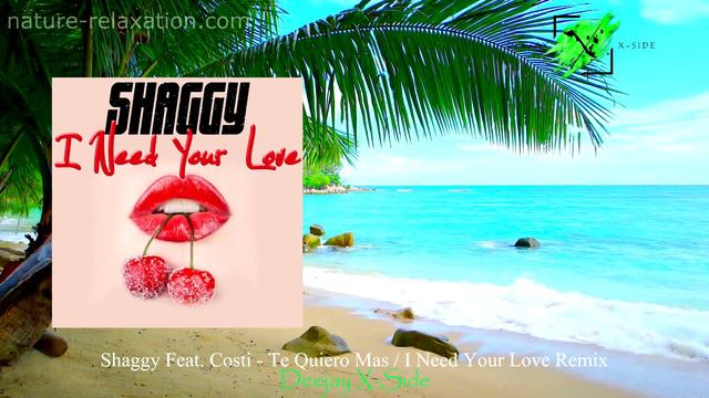Shaggy Feat. Costi - I Need Your Love / Te Quiero Mas (Musikvideo) смотреть онлайн