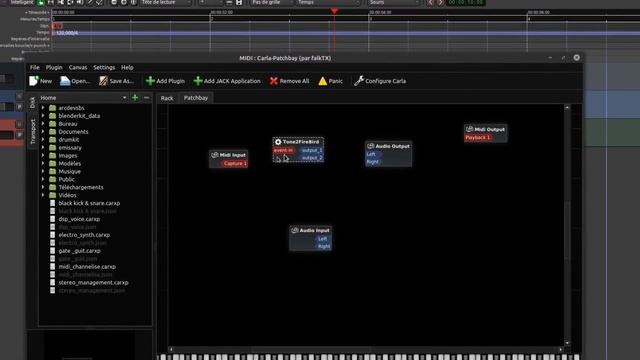 Home Studio: Ardour & Vsti ,Vst Vst2 Vst3  Sans Conversion Avec Le Rack Carla