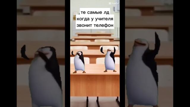 А у вас как? 🤣#мемы #милые #мемныекоты #рекомендации #котики смотреть онлайн