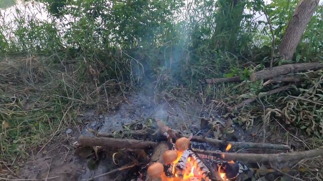 Фидерная рыбалка с ночевкой: палатка и верный пес Локки. История судака на 2,5 кг смотреть онлайн