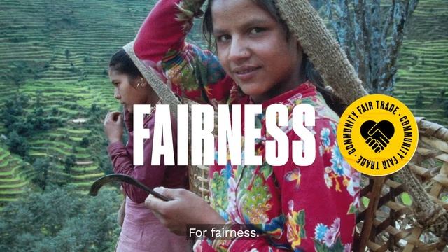 The Body Shop: Our Heritage смотреть онлайн