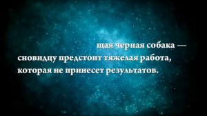 К чему снится черная собака - Онлайн Сонник Эксперт