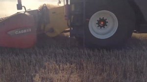 Комбайн New Holland cr 7080 с подборщиком валка Case ih