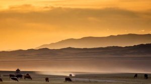 Ут дун - Маля тамга борнь ( Malya Tamgha Bor - Kalmyk Traditional Long Song)