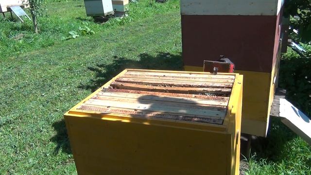 Поиск семьи для создания стартера