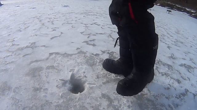 ЛОВЛЯ ОСЕТРА В ПОДМОСКОВЬЕ, КРАСНОГОРСК БИГ КАРП ,FISHING FOR STURGEON IN THE SUBURBS смотреть онлайн