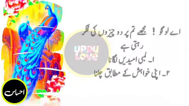 Jabir bin hayan qoutes | sunehri aqwal | صحت مند انسان کو ہفتے میں کتنی مرتبہ مباشرت | смотреть онлайн
