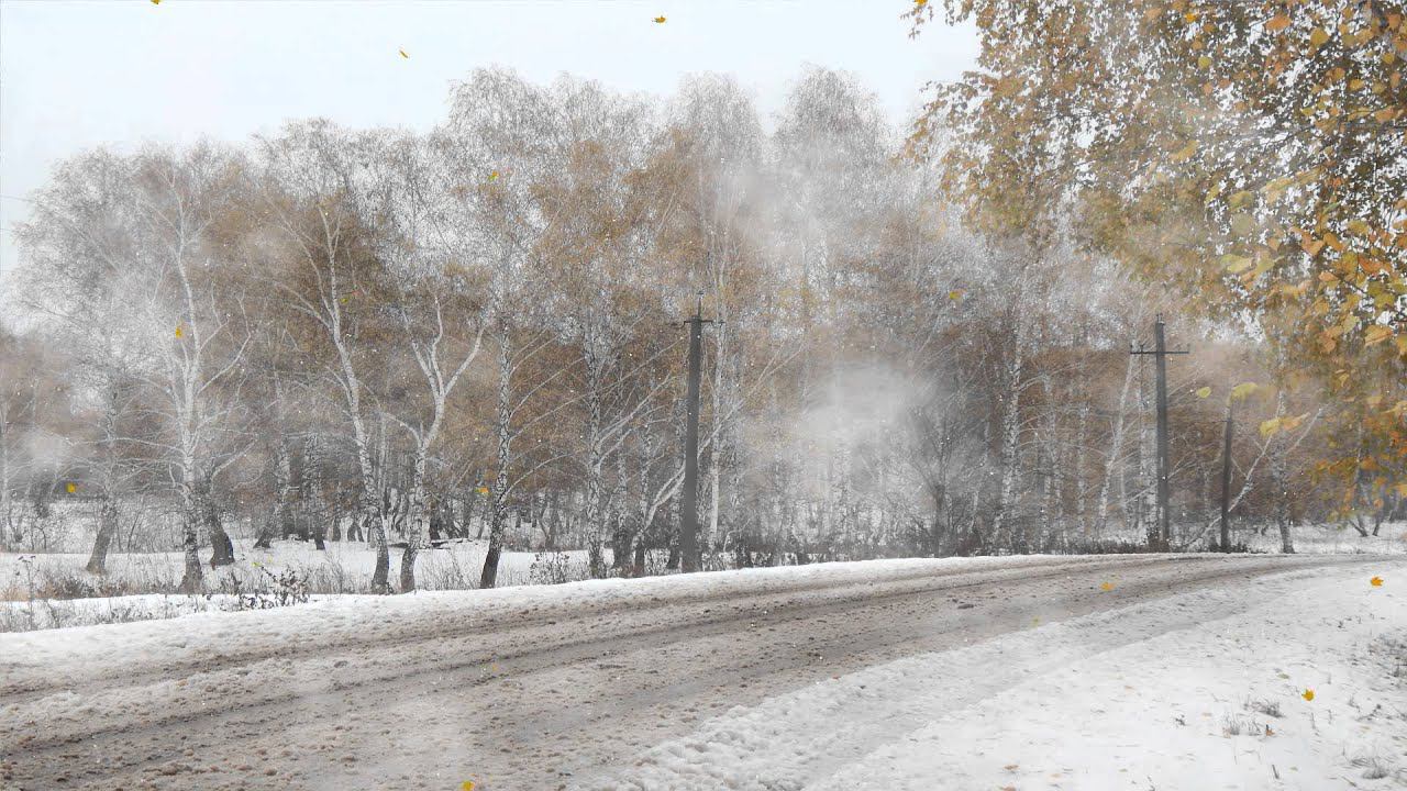 Футаж Первый снег. смотреть онлайн