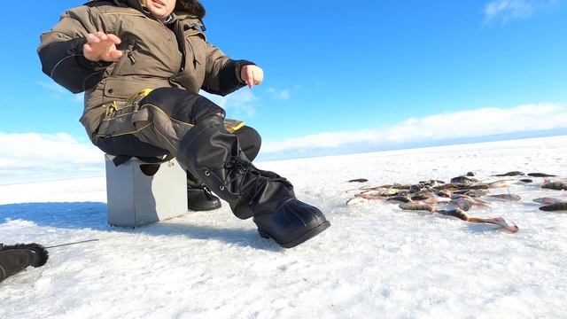 БЕШЕНЫЙ КЛЕВ НА ЧУДСКОМ ОЗЕРЕ! смотреть онлайн