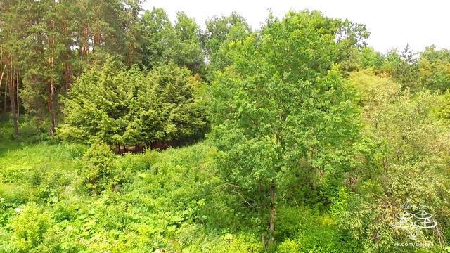 SummerDay /Оттенки зелёного смотреть онлайн