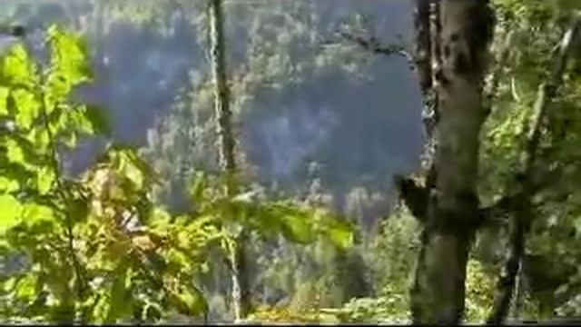 Lake Ritza смотреть онлайн