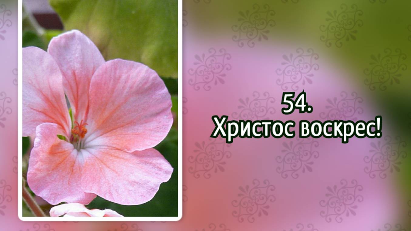Гимны надежды 54 Христос воскрес! (-) смотреть онлайн