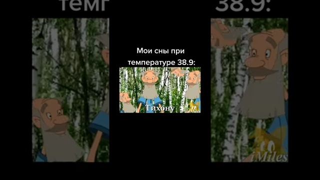 мем #1 мои сны с температурой 39