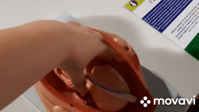 ПАРК и ПЛЯЖ РИВЬЕРА Сочи / Гениум, Состав человека, Роботы / Знакомство с иностранцами смотреть онлайн