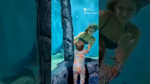 Сирена: Морская Муза Дева и Малыш смотреть онлайн