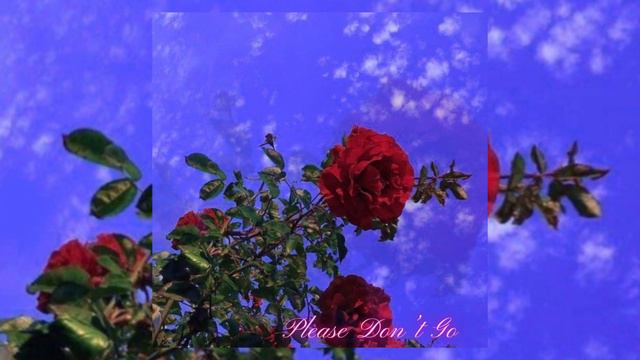 Eiras's Mind, Yara Martínez - Please Don’t Go (Lyrics Video) смотреть онлайн