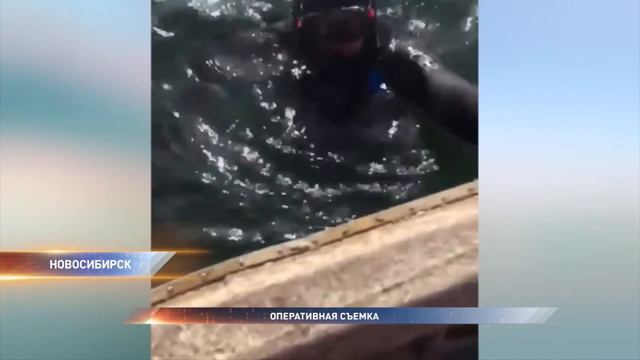 Задержали подводных охотников смотреть онлайн