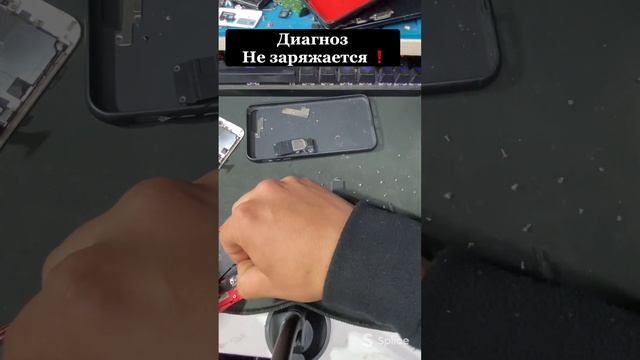 Iphone 7plus не заряжается , замена нижнего шлейфа смотреть онлайн