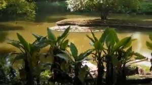 Имена Аллаха 99 имён Аллаха прекрасные имена Аллаха