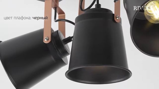 Светильник спот Rivoli Acuto 7015-703 смотреть онлайн