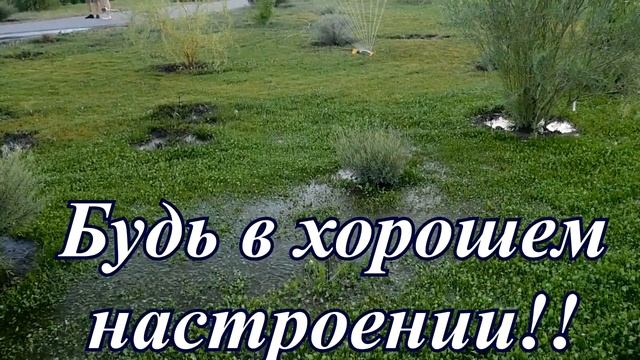 С ДОБРЫМ УТРЕЧКОМ ТЕБЯ!УЛЫБНИСЬ СКОРЕЕ! смотреть онлайн