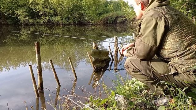 К ТАКОМУ я не был готов! РЫБАЛКА в КУРСКОЙ области. Поплавочка на КАРПА. смотреть онлайн